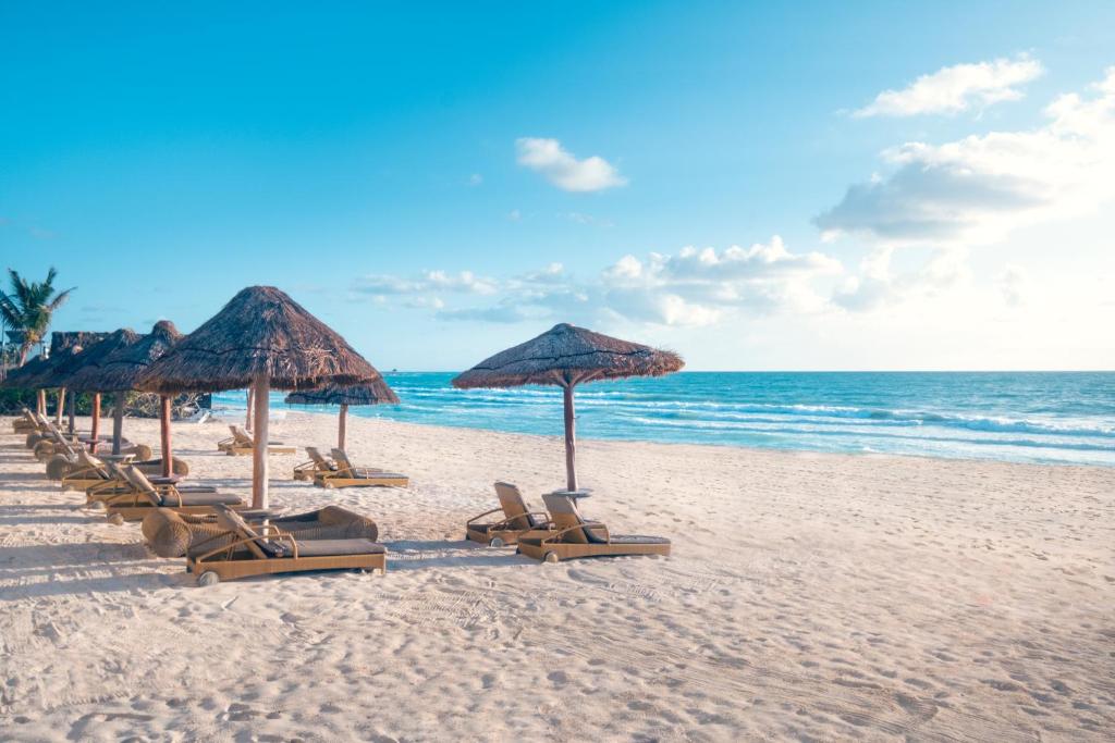 JOIA Paraiso by Iberostar - Adults Only 18+ imagine 55